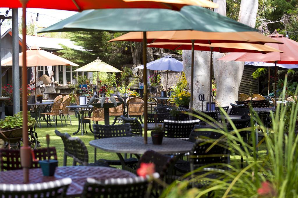 Oakdene Vineyards Guesthouse Wallington Exterior foto